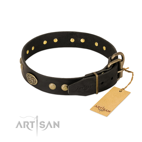 Rust-proof fittings on full grain leather dog collar for your pet