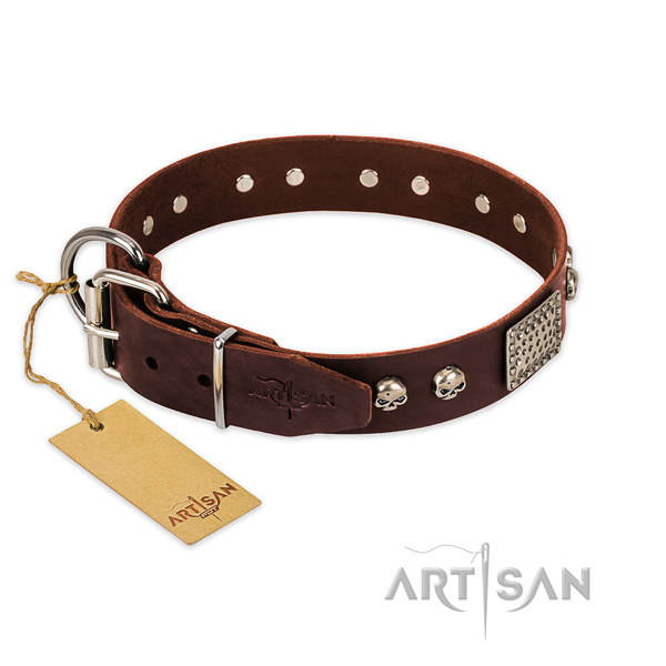Rust resistant studs on stylish walking dog collar
