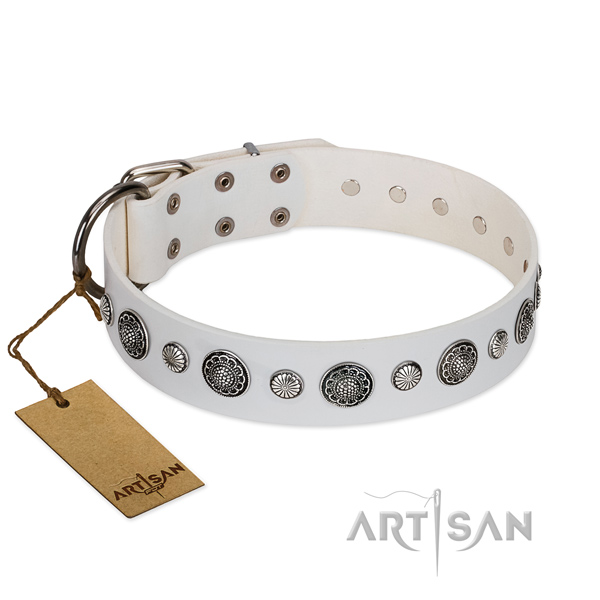 Soft to touch full grain genuine leather dog collar with corrosion resistant buckle