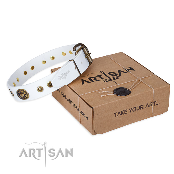 Genuine leather dog collar made of gentle to touch material with reliable hardware