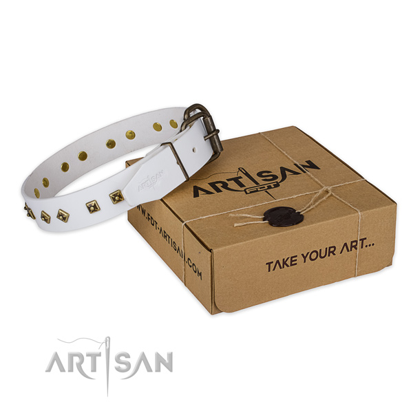 Rust resistant fittings on full grain natural leather dog collar for fancy walking