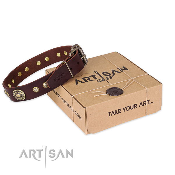 Reliable hardware on full grain leather dog collar for everyday walking