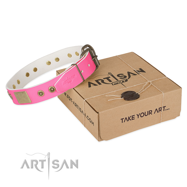 Corrosion resistant fittings on dog collar for everyday use