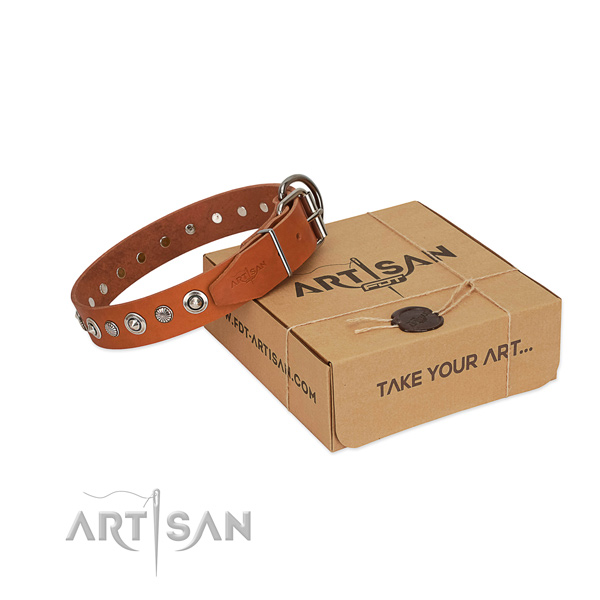 Top quality genuine leather dog collar with designer adornments