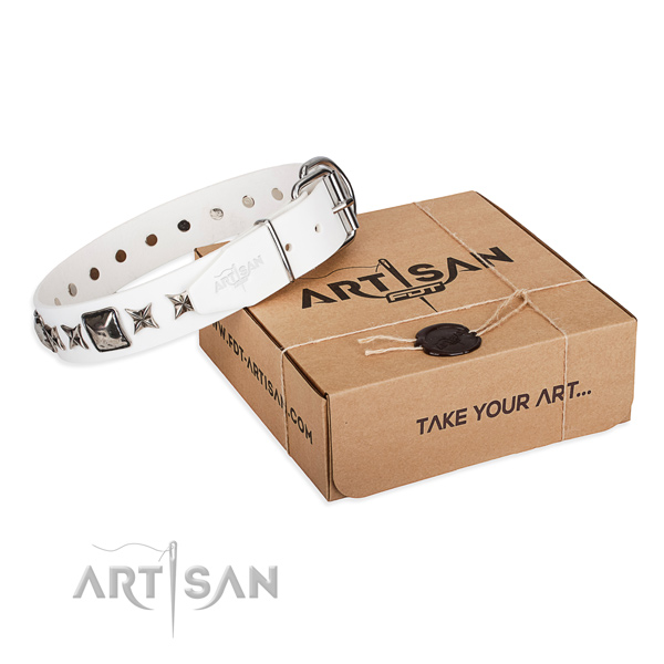 Fancy walking full grain leather dog collar with studs