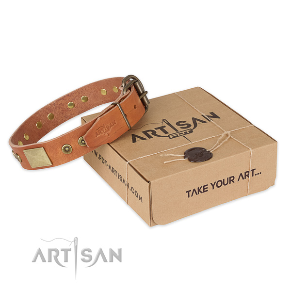 Reliable fittings on full grain natural leather dog collar for daily use