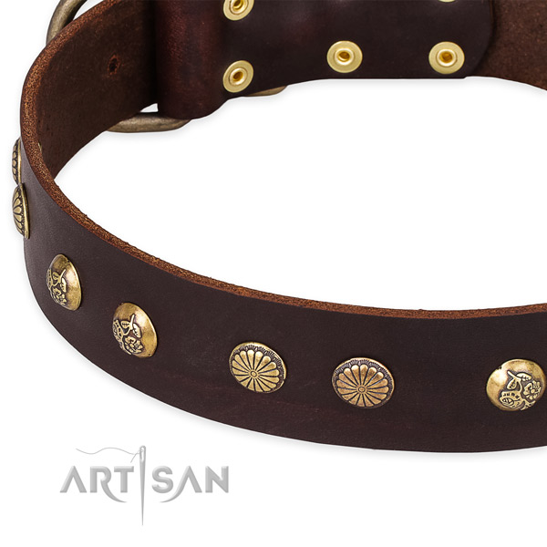 Full grain natural leather collar with corrosion proof traditional buckle for your attractive doggie