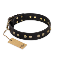 "Black Elegance" FDT Artisan Leather Belgian Malinois Collar with Round Studs