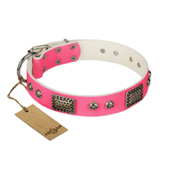 "Fashion Skulls" FDT Artisan Pink Leather Belgian Malinois Collar with Old Silver Look Plates and Skulls "Fashion Skulls" FDT Artisan Pink Leather Belgian Malinois Collar with Old Silver Look Plates and Skulls