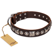 "Pierian spring" FDT Artisan Brown Leather Belgian Malinois Collar with Silvery Decorations