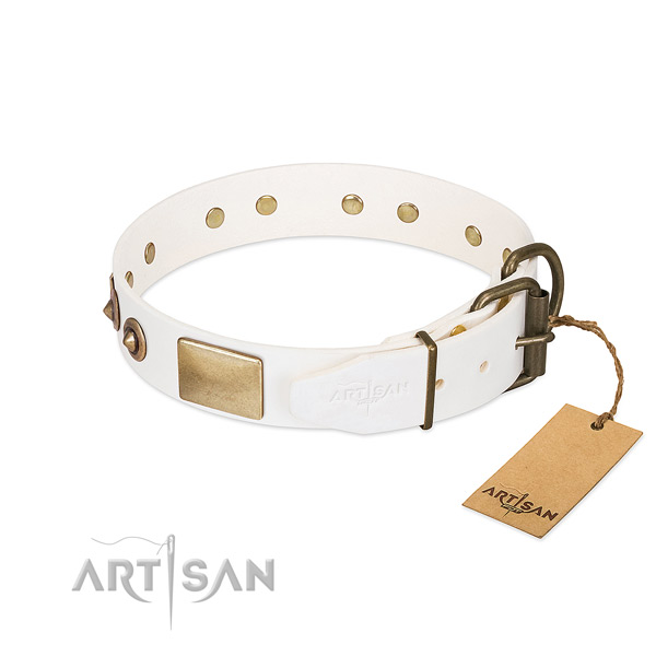 Durable studs on full grain natural leather dog collar for your pet