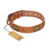 "Cosmic Traveller" FDT Artisan Adorned Leather Belgian Malinois Collar with Old Bronze-Plated Stars and Plates "Cosmic Traveller" FDT Artisan Adorned Leather Belgian Malinois Collar with Old Bronze-Plated Stars and Plates