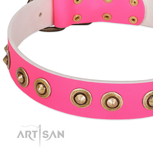 Reliable fittings on full grain natural leather dog collar for your canine