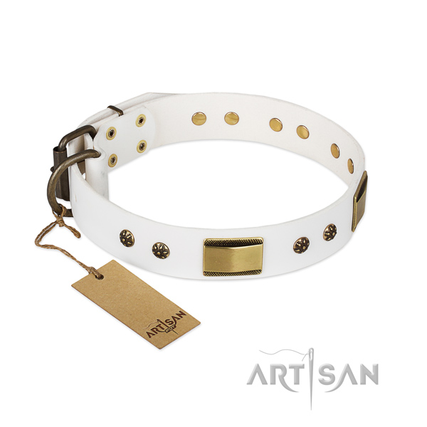 Top notch leather collar for your canine