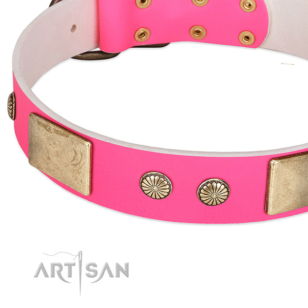 Rust-proof embellishments on full grain leather dog collar for your pet