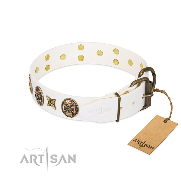 Reliable hardware on genuine leather collar for walking your doggie
