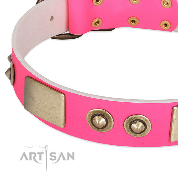 Strong studs on genuine leather dog collar for your canine