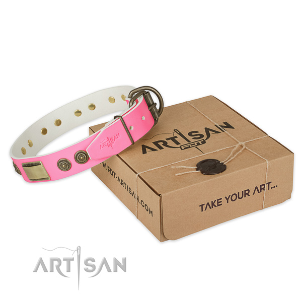 Rust-proof adornments on dog collar for comfortable wearing