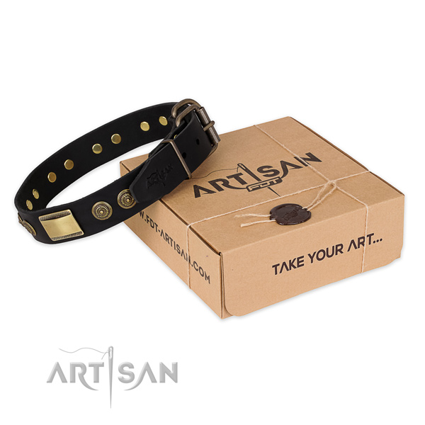 Rust resistant traditional buckle on genuine leather dog collar for everyday use