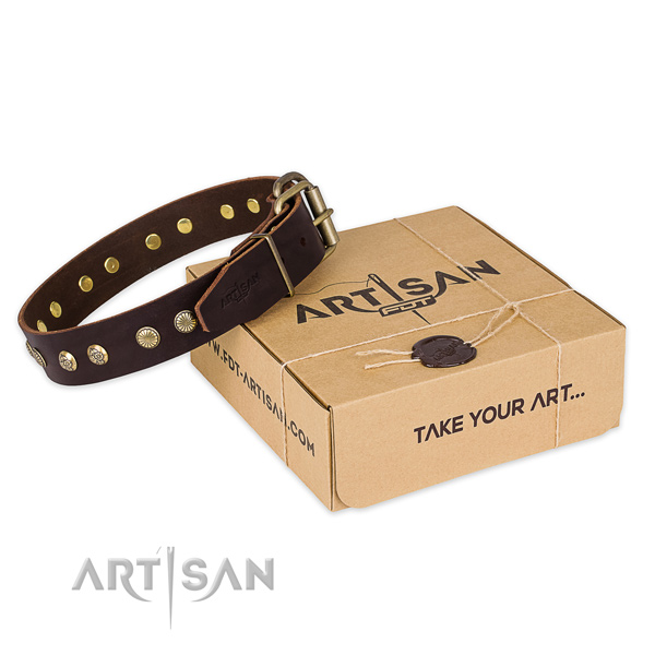 Reliable hardware on full grain leather collar for your attractive four-legged friend