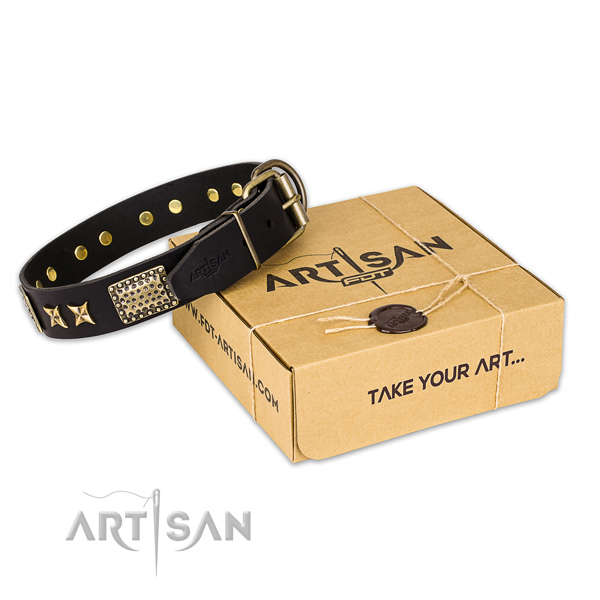 Reliable fittings on leather collar for your stylish dog