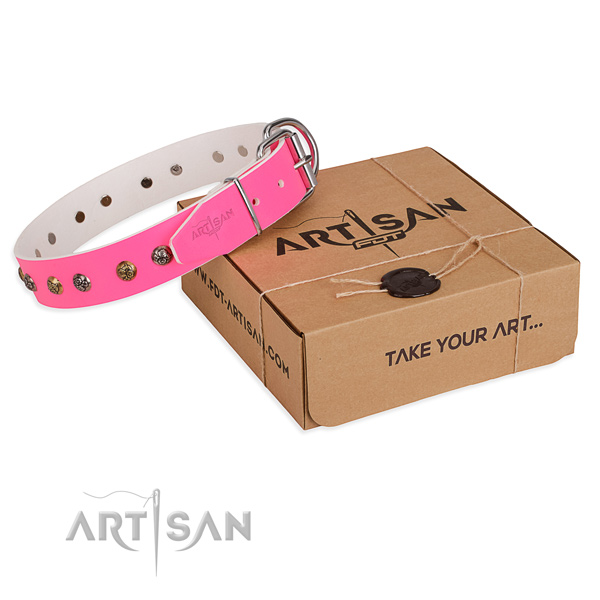 Comfortable wearing dog collar with Incredible strong adornments