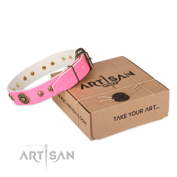 Rust-proof traditional buckle on leather dog collar for daily walking