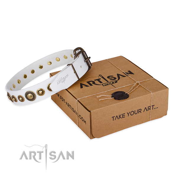 Durable leather dog collar crafted for handy use