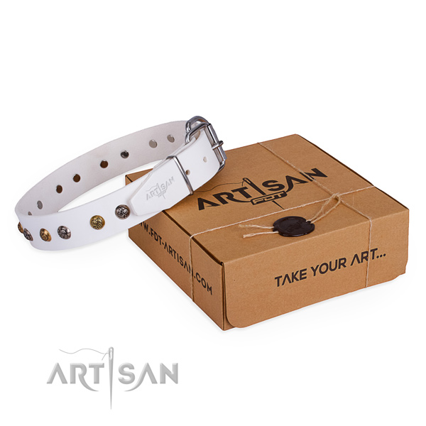 Basic training dog collar with Incredible strong adornments