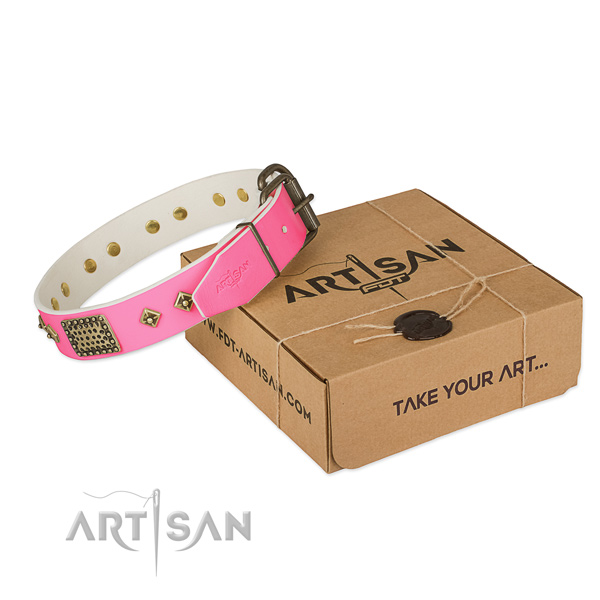 Corrosion resistant traditional buckle on dog collar for comfortable wearing