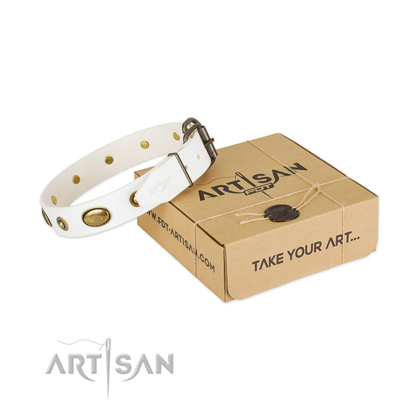 Top quality full grain natural leather collar for your handsome dog