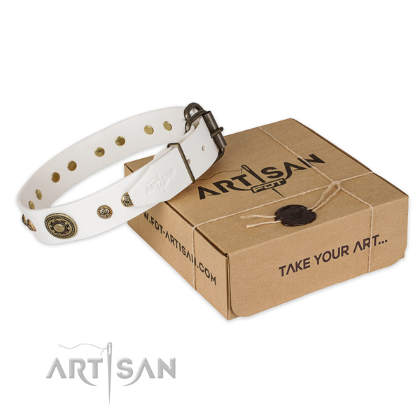 Durable hardware on natural genuine leather dog collar for daily use