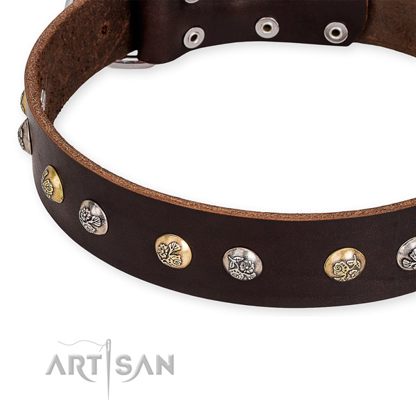 Full grain natural leather dog collar with exceptional rust-proof adornments