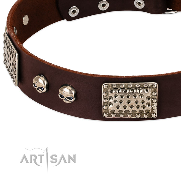 Corrosion proof studs on full grain leather dog collar for your canine