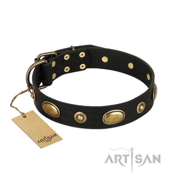 Studded leather collar for your pet