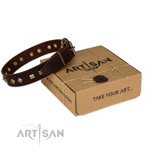 Rust-proof fittings on full grain genuine leather dog collar for everyday use
