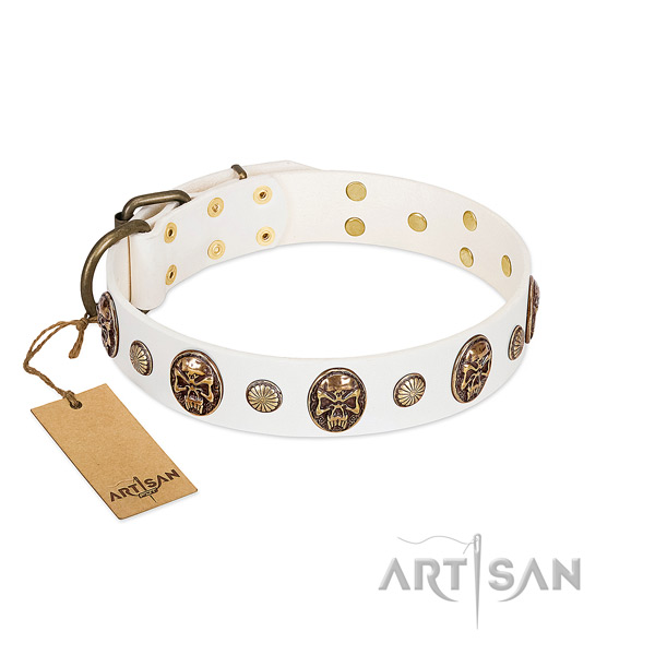 Designer natural genuine leather dog collar for walking