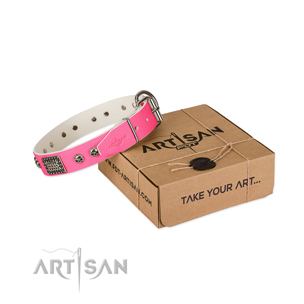 Strong fittings on dog collar for everyday walking