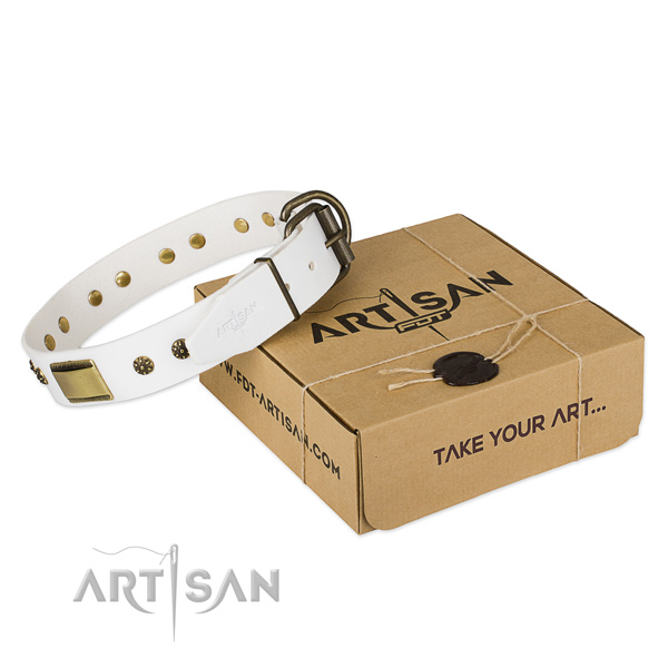 Top notch full grain leather collar for your lovely doggie