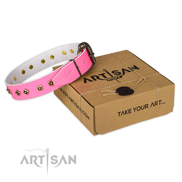 Durable traditional buckle on natural leather dog collar for everyday walking