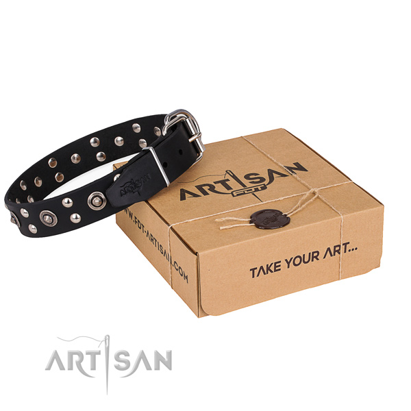 Everyday walking dog collar with Exquisite durable adornments