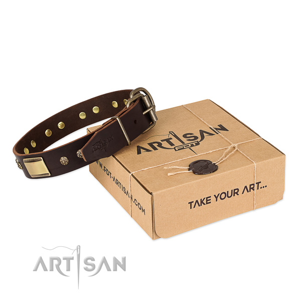 Impressive genuine leather collar for your attractive canine