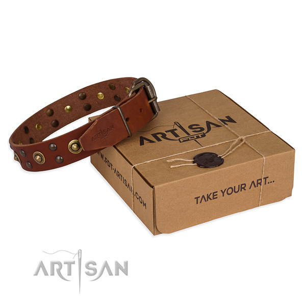 Durable buckle on genuine leather collar for your attractive four-legged friend