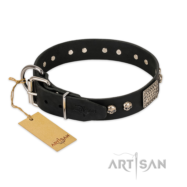 Reliable traditional buckle on walking dog collar