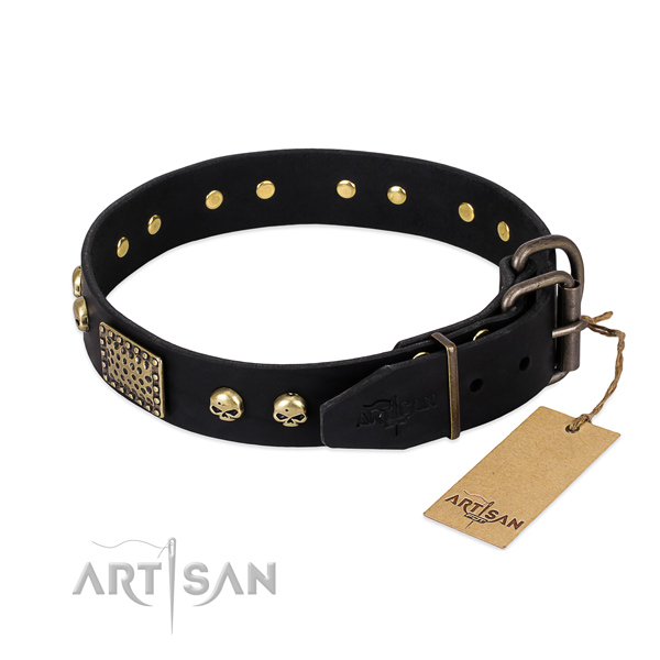 Strong traditional buckle on everyday walking dog collar