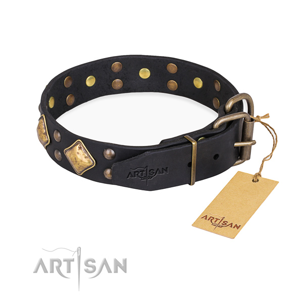 Full grain leather dog collar with amazing corrosion proof decorations