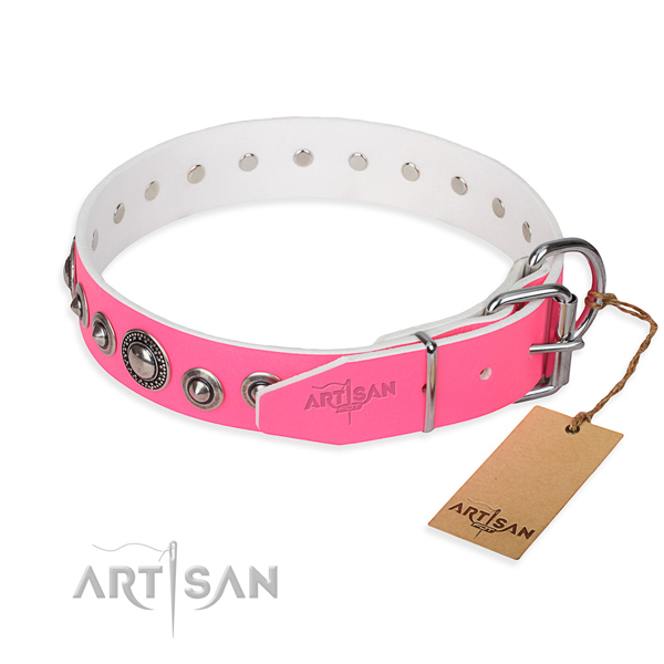Leather dog collar made of reliable material with rust-proof embellishments