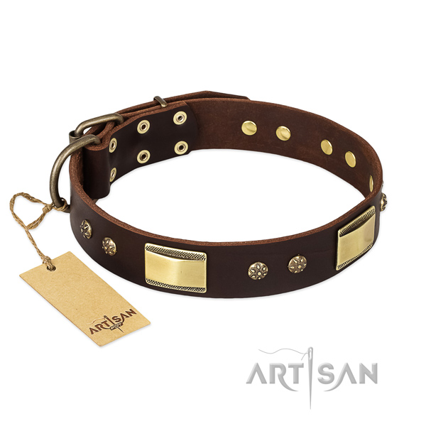 Full grain natural leather dog collar with rust resistant buckle and studs