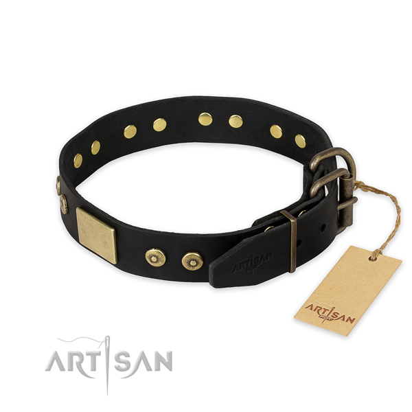 Strong buckle on leather collar for basic training your doggie