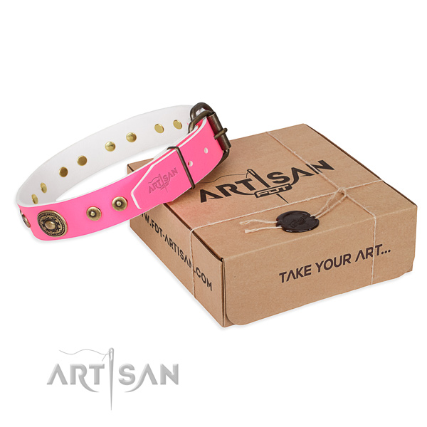 Full grain natural leather dog collar made of top rate material with rust-proof traditional buckle